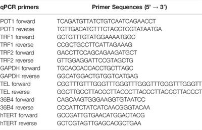 Telomere Attrition in Induced Pluripotent Stem Cell-Derived Neurons From ALS/FTD-Related C9ORF72 Repeat Expansion Carriers